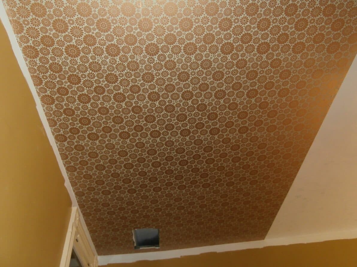 Ornate patterned ceiling with floral designs in warm tones.
