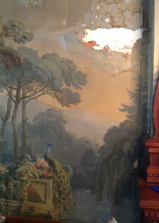 Faded wallpaper depicting a peacock amidst a serene landscape with trees and hills.